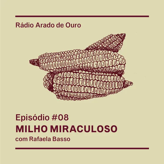 Capa do episódio 08, Milho Miraculoso