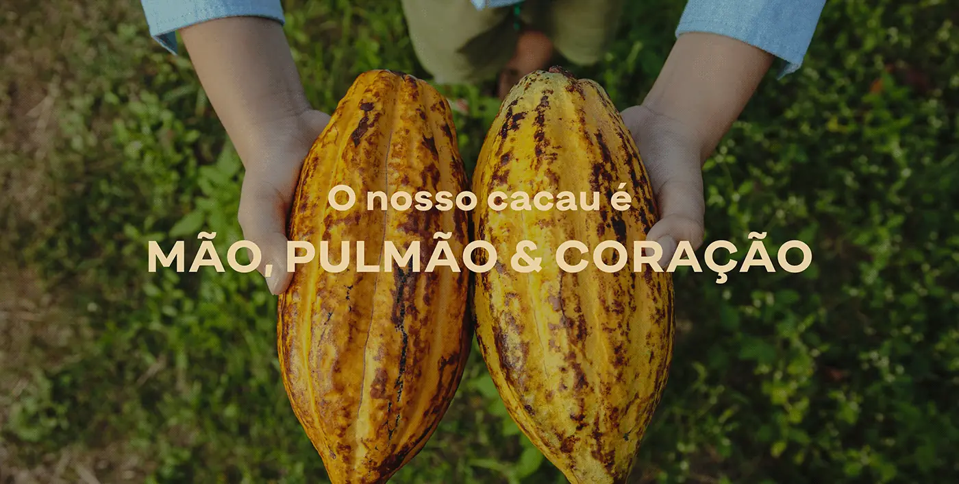 Capa amarela do relatório Cacau Brasileiro com ilustração em traço
