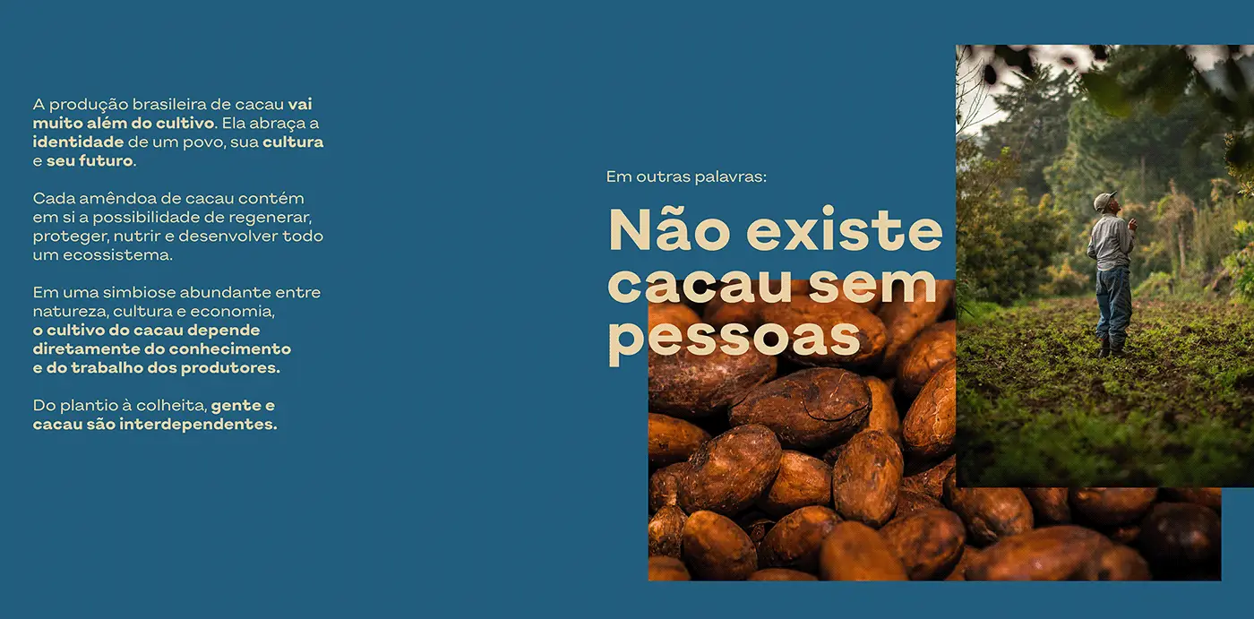 Cacau Brasileiro — imagem 4 de 19