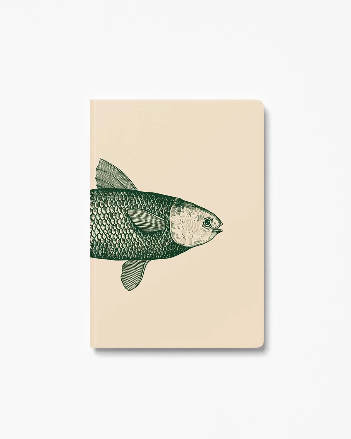 Caderno Peixe Vivo