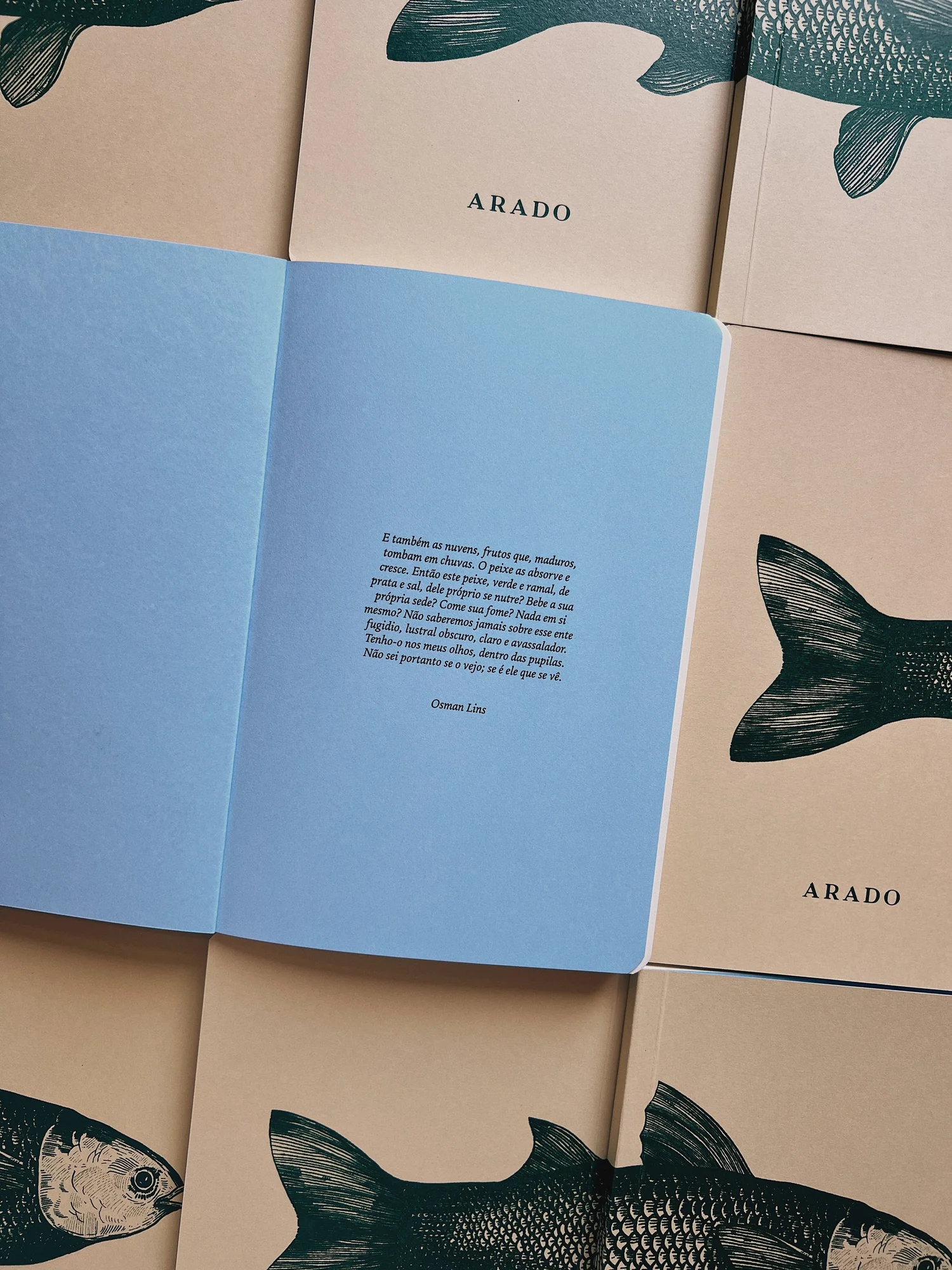 Caderno Peixe Vivo — imagem 5
