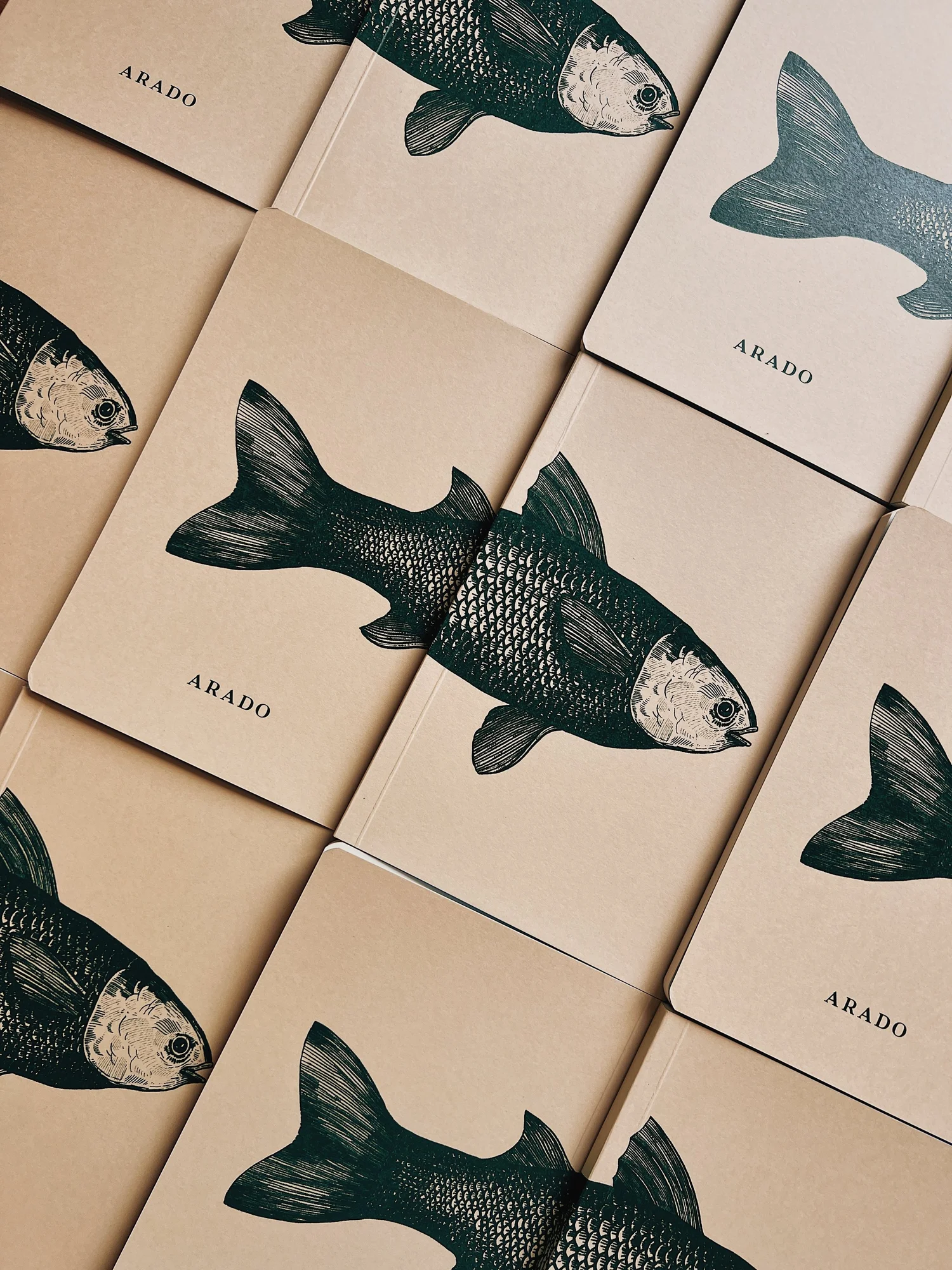 Caderno Peixe Vivo — imagem 8