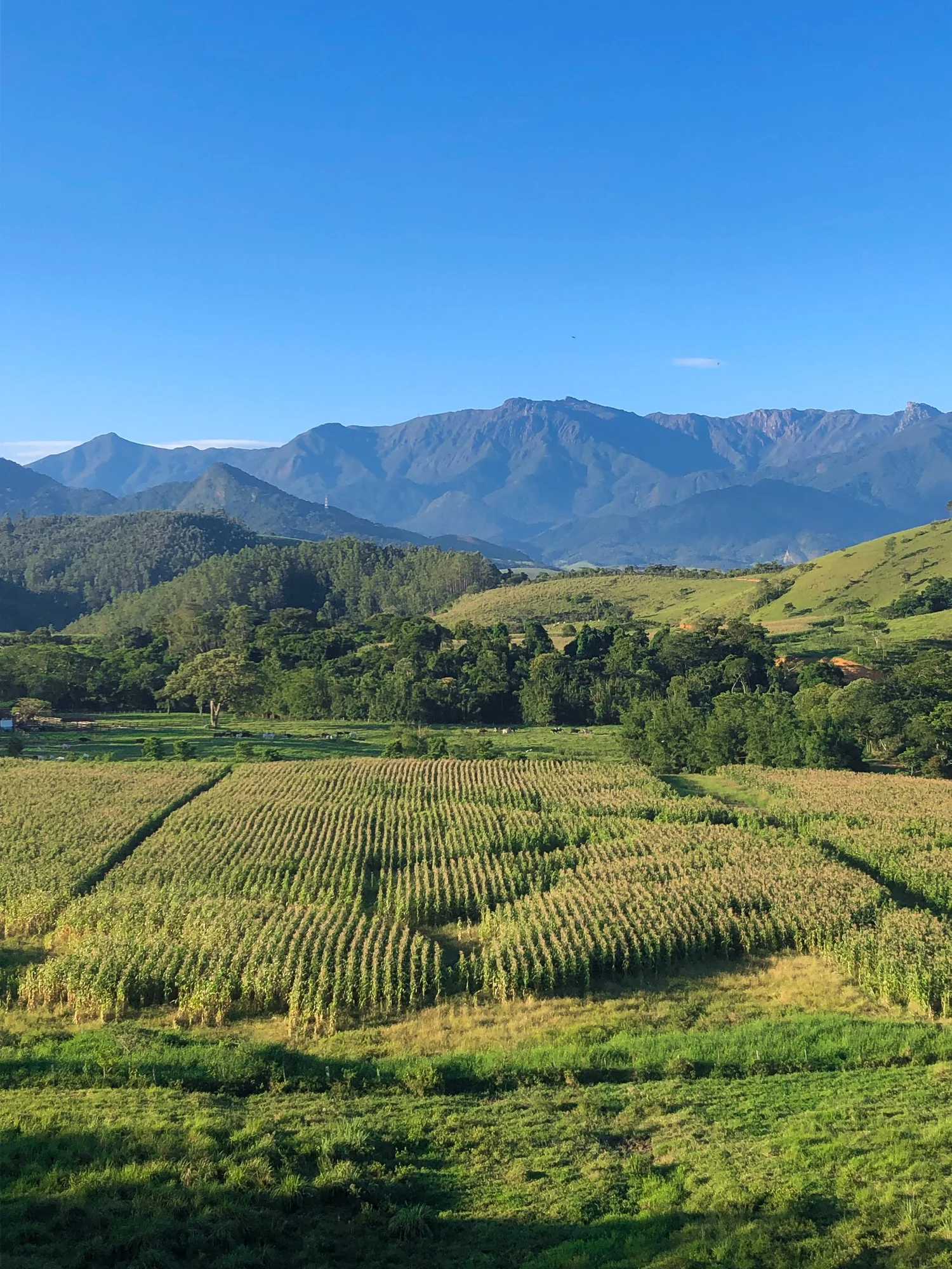 Fazenda Santa Vitória