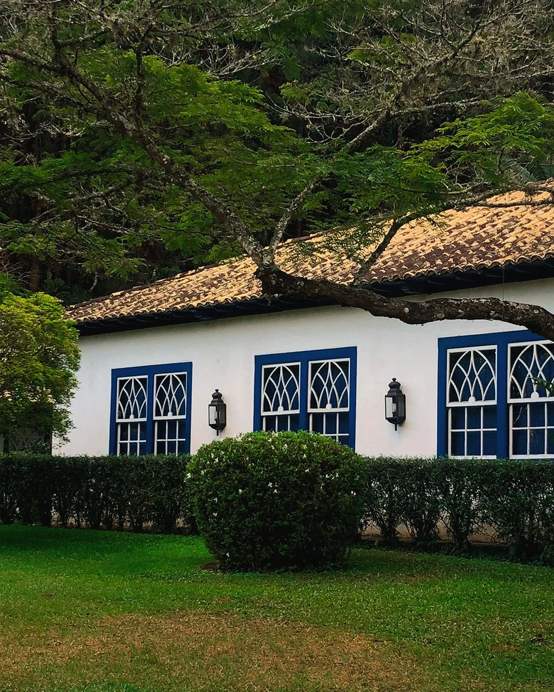 Fazenda Santa Vitória — imagem 6