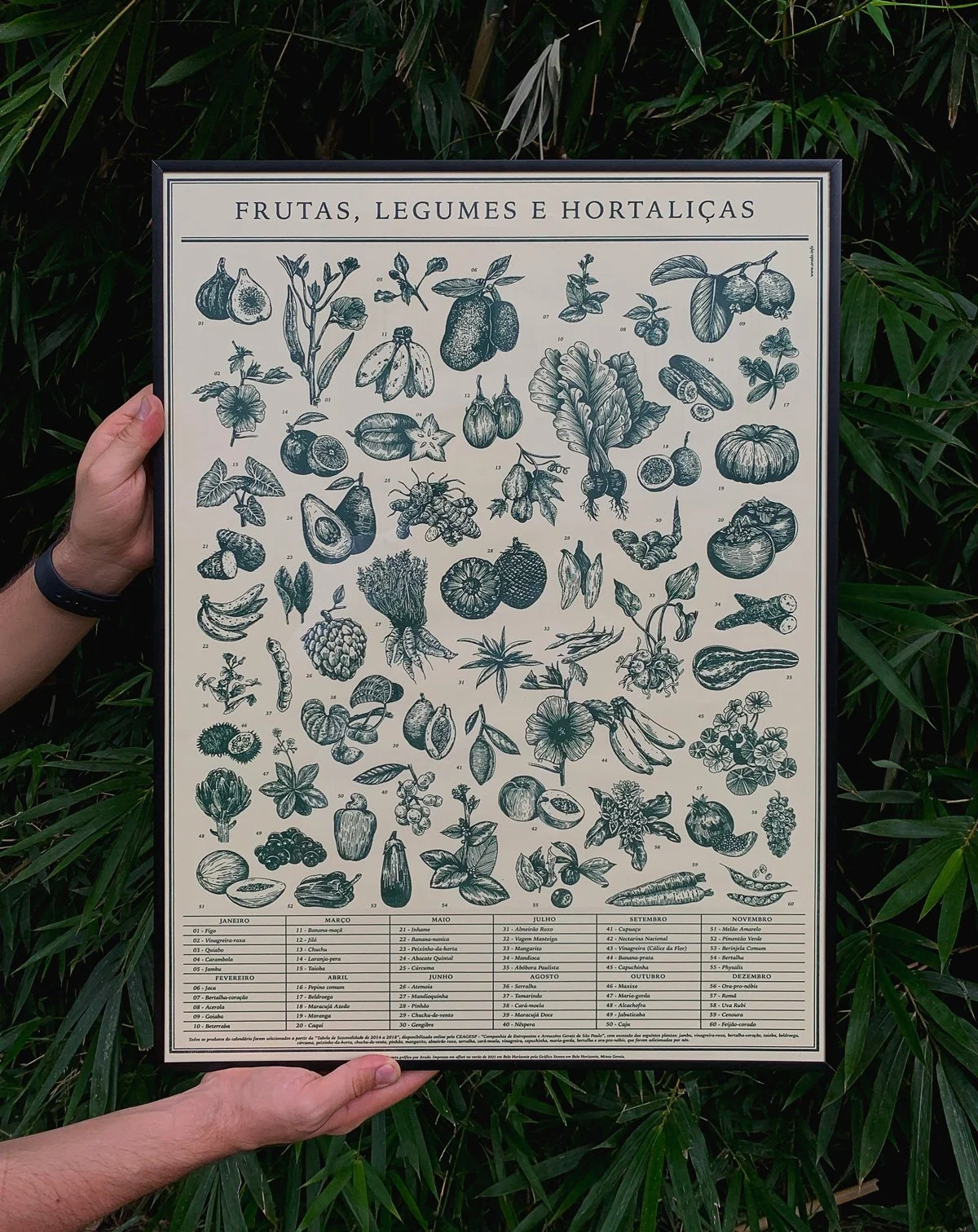 Frutas, Legumes & Hortaliças — imagem 2