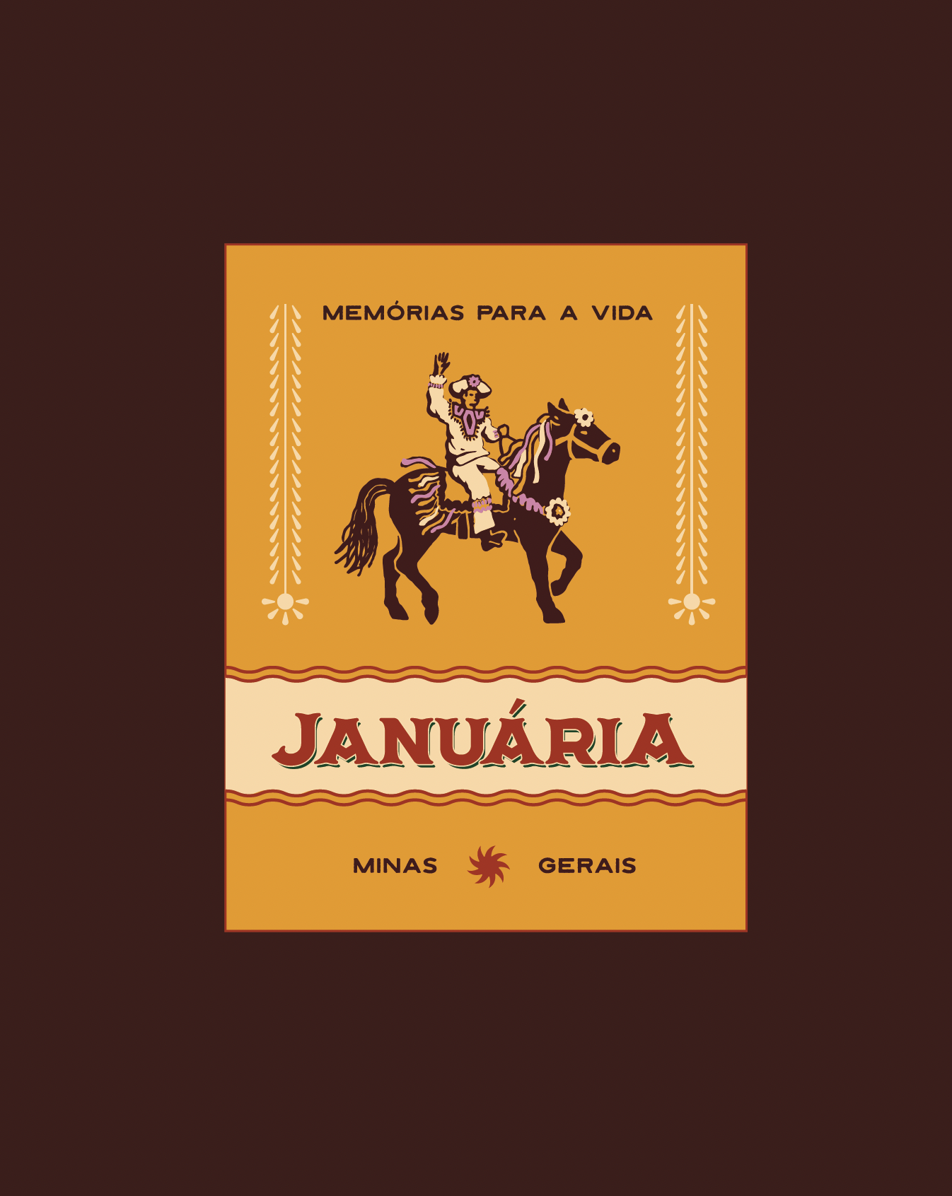Januária — imagem 17