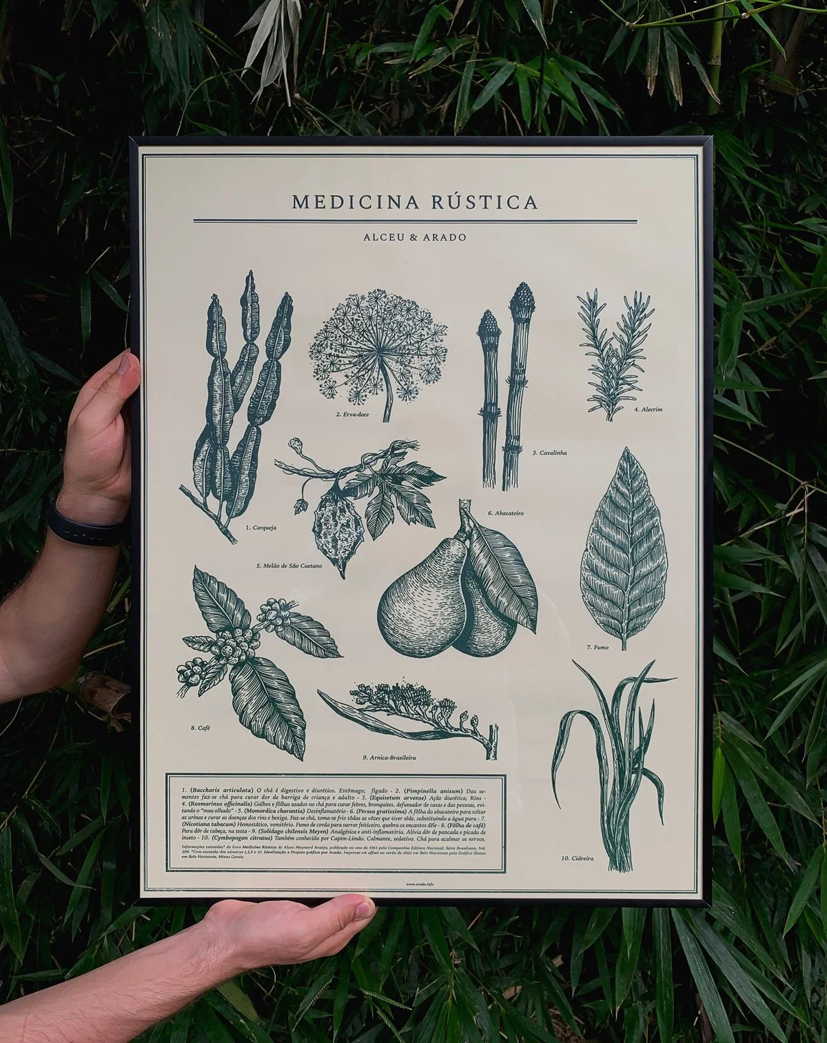 Medicina Rústica — imagem 3