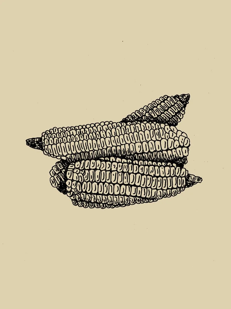 Tordesilhas — imagem 11