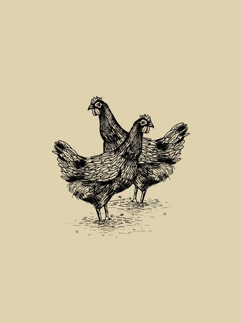 Tordesilhas — imagem 12