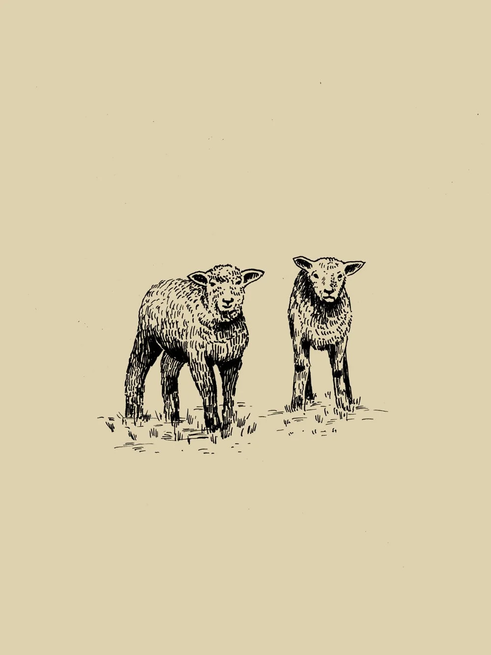 Tordesilhas — imagem 13