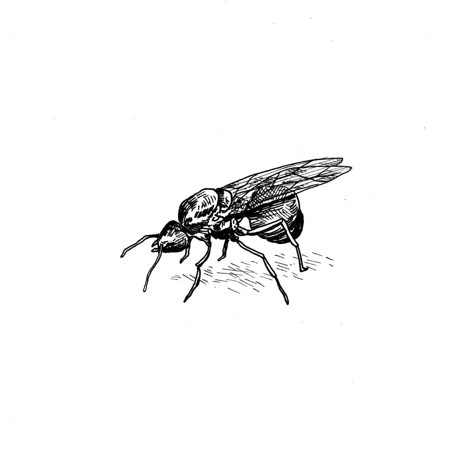 Tordesilhas — imagem 4