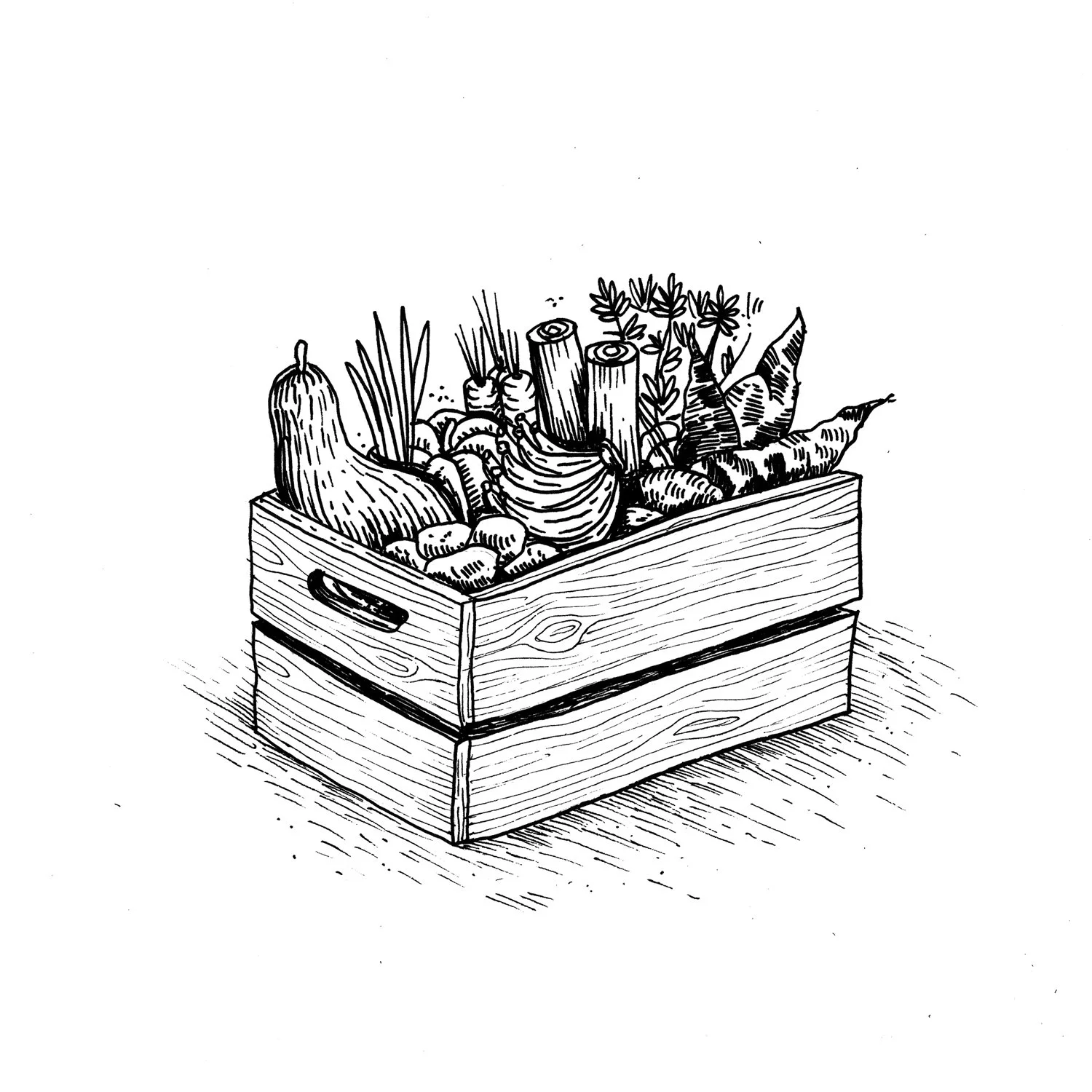 Tordesilhas — imagem 5