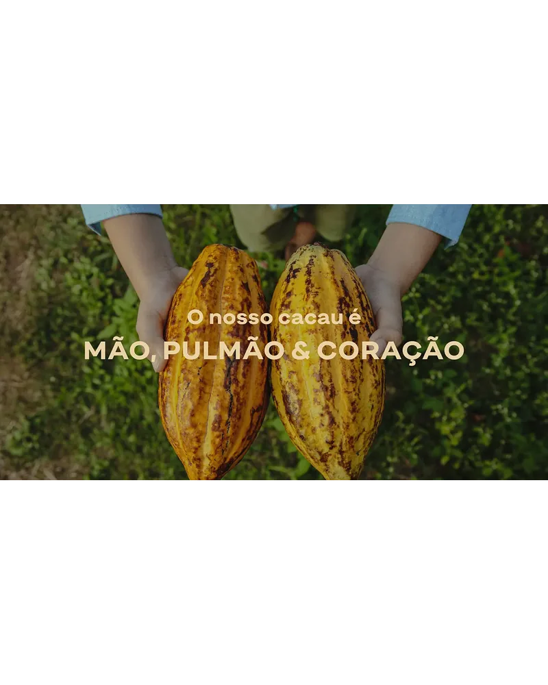 Capa amarela do relatório Cacau Brasileiro com ilustração em traço