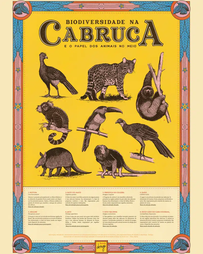 Cinco cartazes ilustrados da Dengo alternando em sequência, entre eles Biodiversidade na Cabruca
