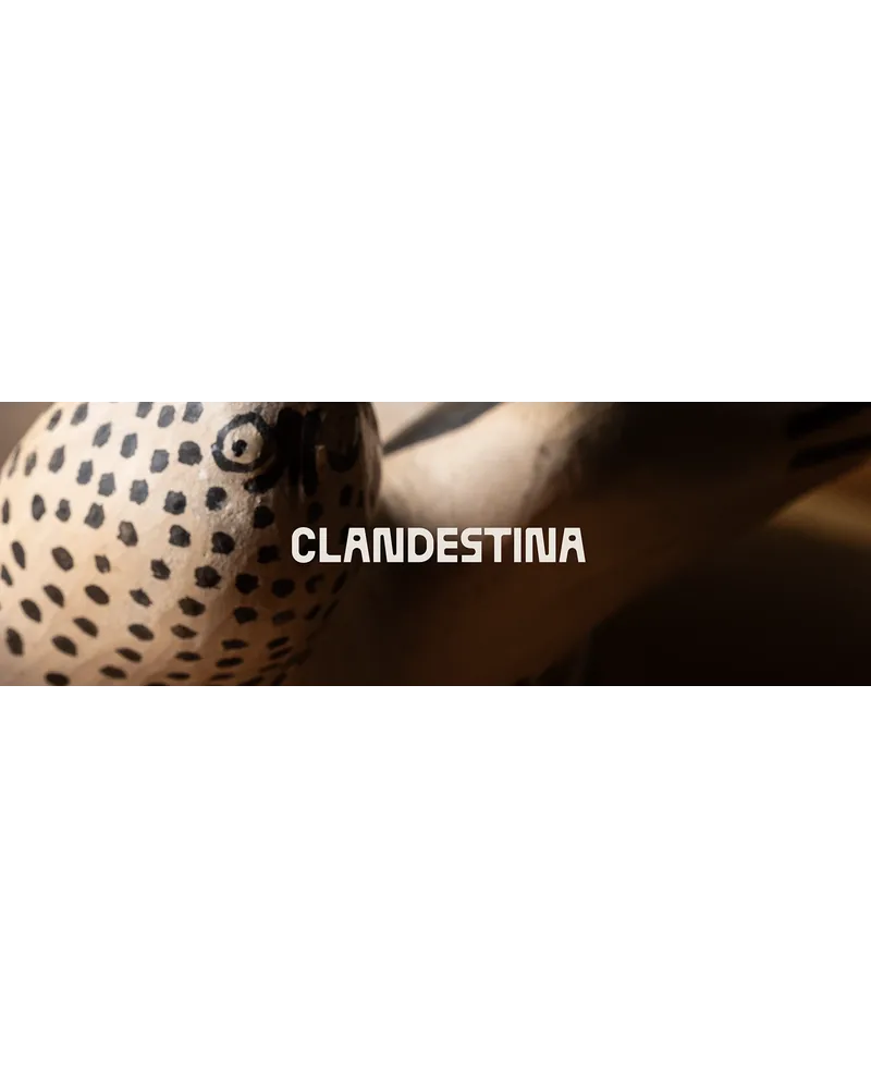 Nome Clandestina em branco sobre fotografia de cerâmica e tecido