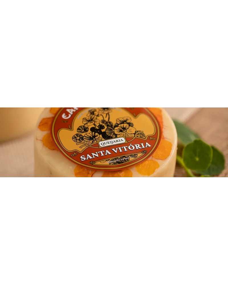 Rótulo circular ilustrado da Queijaria Santa Vitória aplicado a um queijo